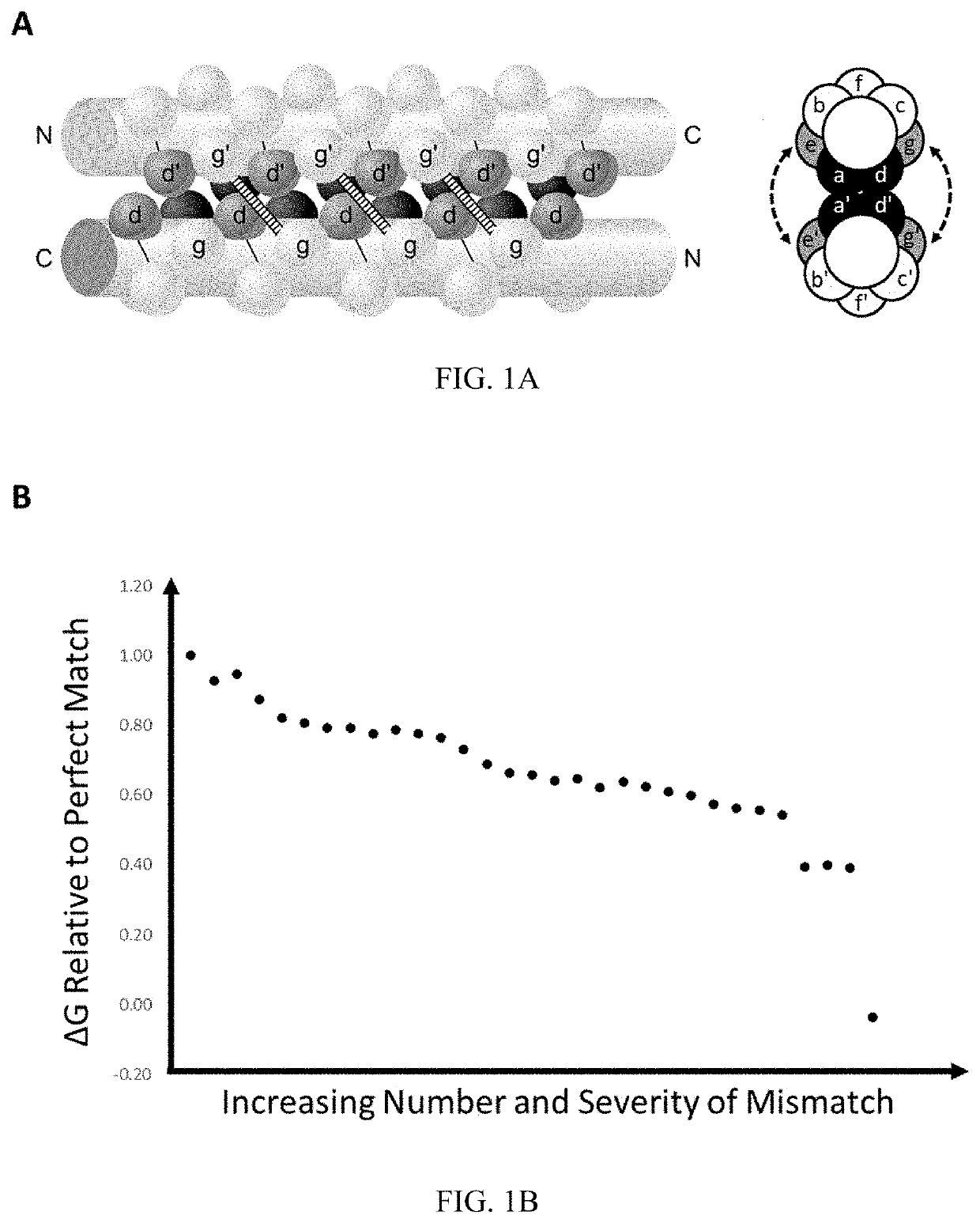 Method for controlling protein dimerization using an intramolecular to intermolecular conformational switch