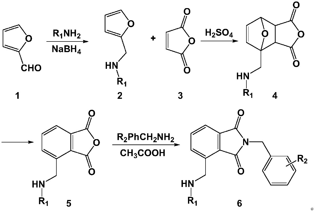 Phthalimide compound used as PDE2/4 dual inhibitor and preparation method thereof