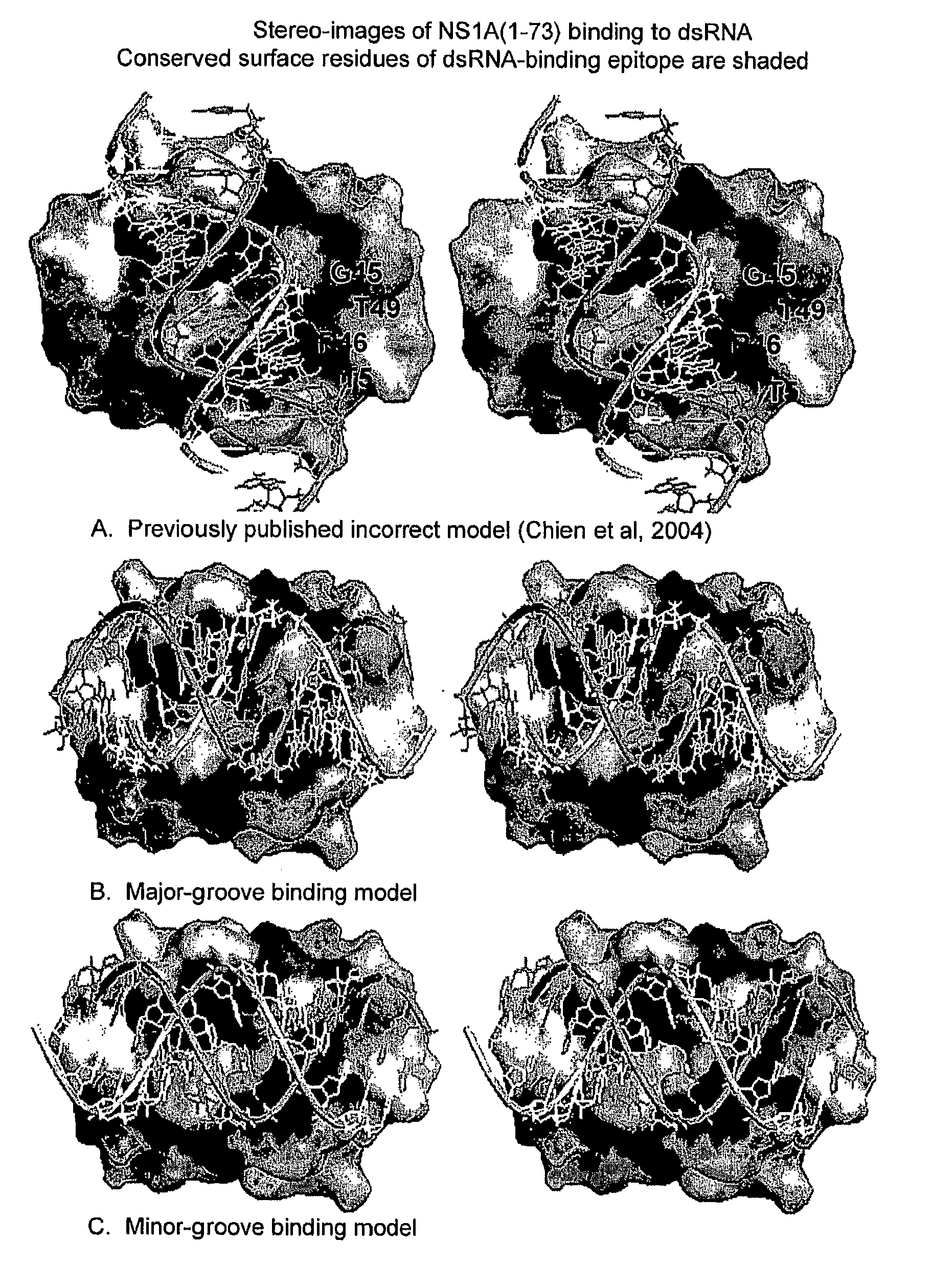 Compositions and vaccines against influenza A and influenza B infections