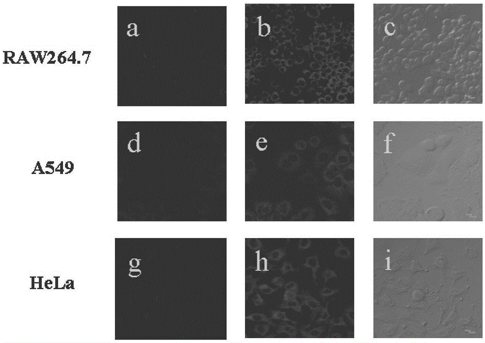 BODIPY derivative for measuring CysSnSSH and application thereof