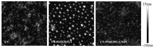 A method for densification of amino-containing phosphorylcholine polymer and glutaraldehyde biomimetic coating