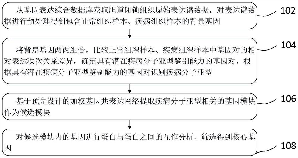 Biliary atresia potential molecular subtype and recognition method of core gene of biliary atresia potential molecular subtype