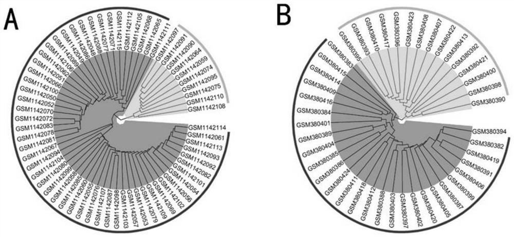 Biliary atresia potential molecular subtype and recognition method of core gene of biliary atresia potential molecular subtype