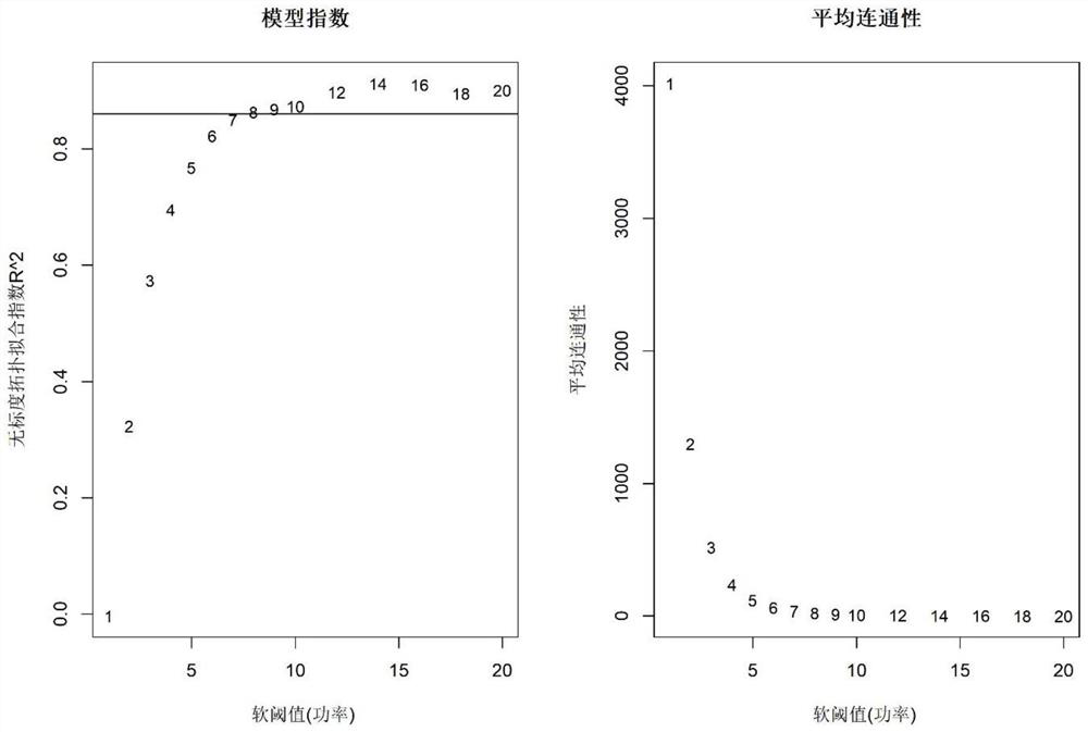 Biliary atresia potential molecular subtype and recognition method of core gene of biliary atresia potential molecular subtype