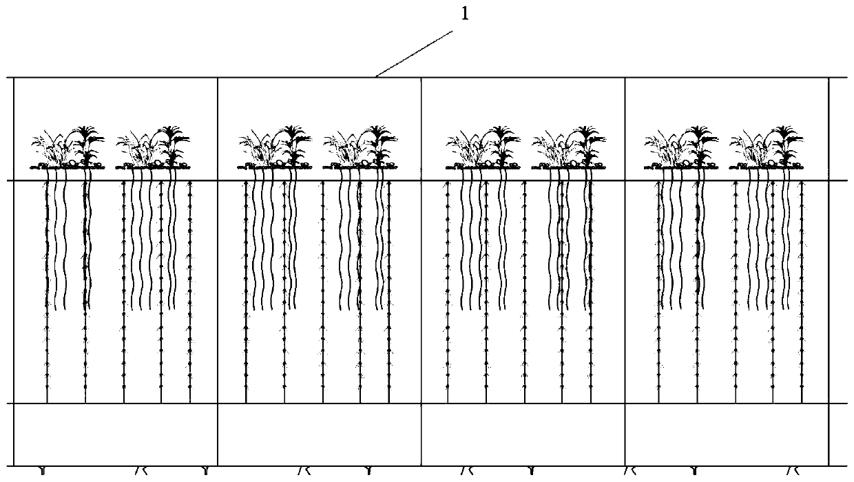 Novel ecological, biological and physical purification and disinfection tap water treatment process