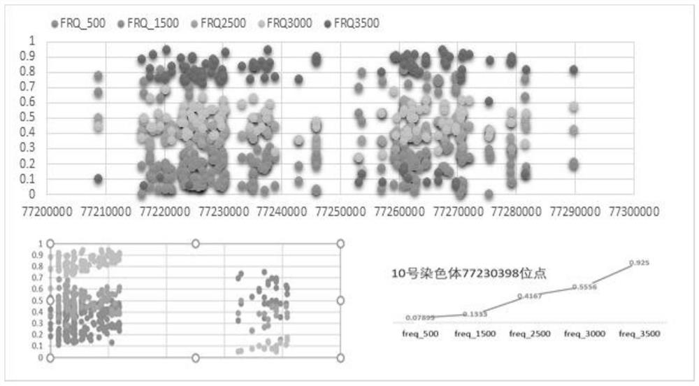 SNP (Single Nucleotide Polymorphism) marker site related to bovine erythrocyte membrane structure and application of SNP marker site