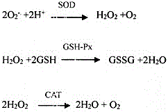 Antioxidative anti-aging SOD nano-selenium peptide composition and preparation method thereof