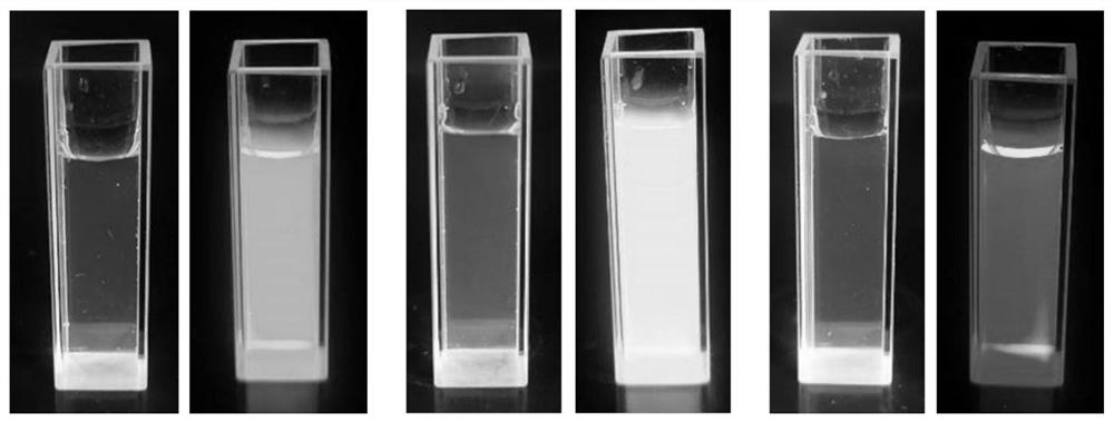 Method for detecting veterinary drugs in water based on cadmium telluride quantum dots