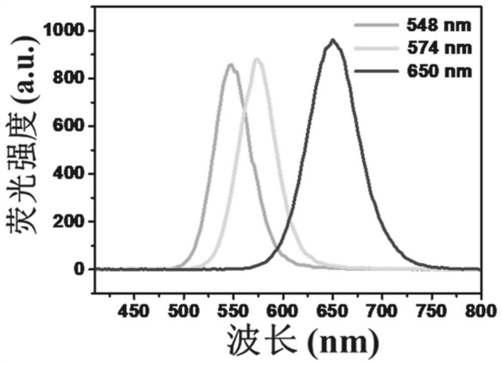 Method for detecting veterinary drugs in water based on cadmium telluride quantum dots