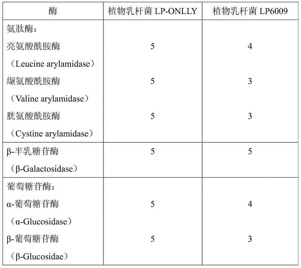 A strain of Lactobacillus plantarum and its application in active fermented milk