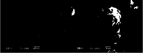 Method for preparing semi-continuous ternary precursor