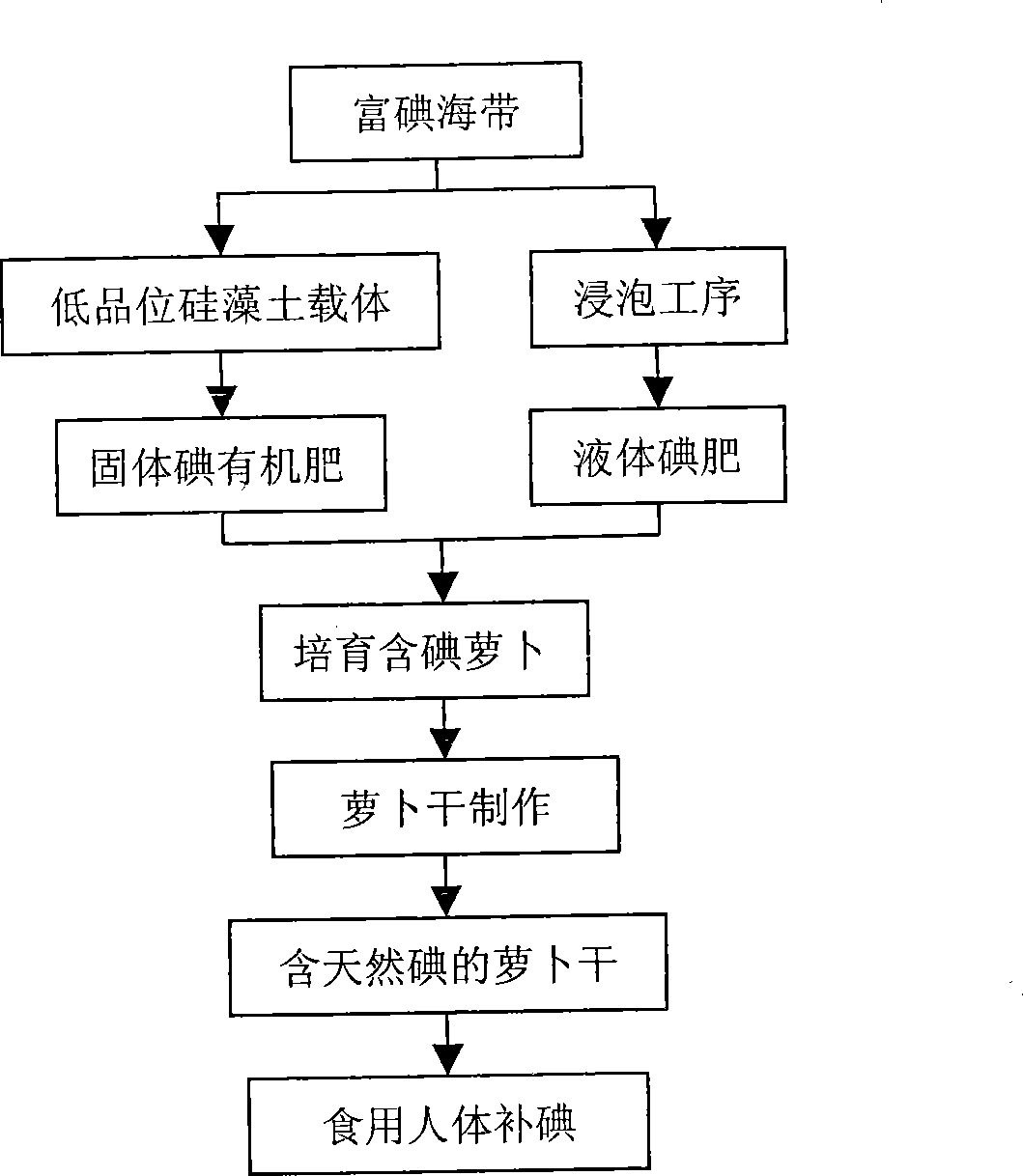 Process of producing dried radish slices containing natural iodine