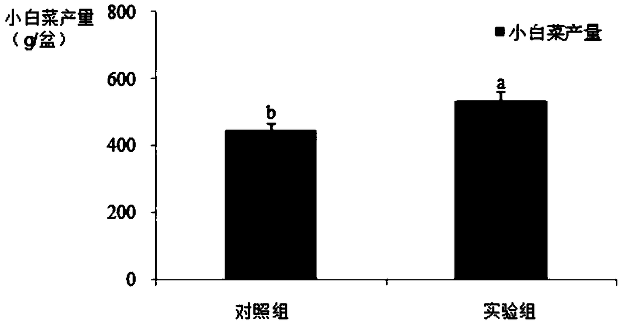 Corn straw granular fertilizer and preparation method thereof