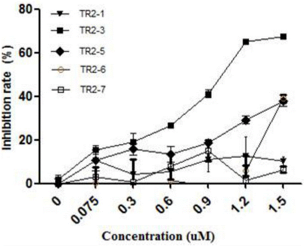 Full-humanized agonist single-chain antibody resistant to human death receptor 5 and application thereof