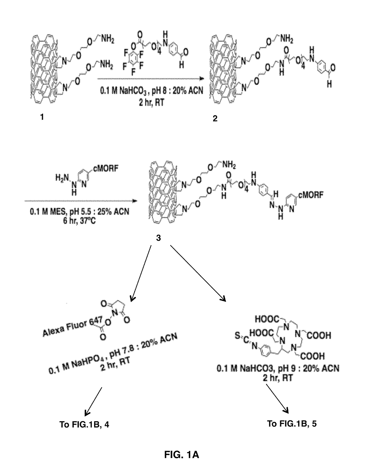 Targeted self-assembly of functionalized carbon nanotubes on tumors