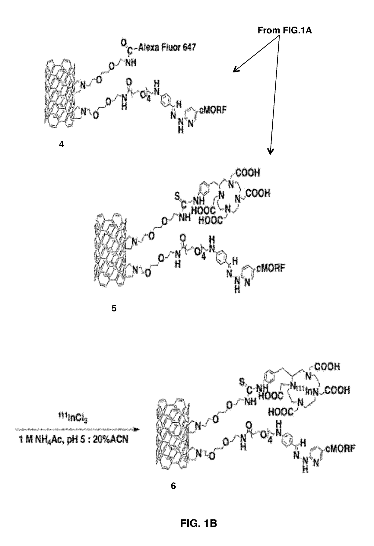 Targeted self-assembly of functionalized carbon nanotubes on tumors