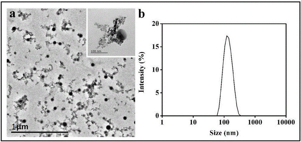 Reducing response magnetic drug-loaded nanoparticles with synergetic anti-cancer interaction and preparation method of reducing response magnetic drug-loaded nanoparticles