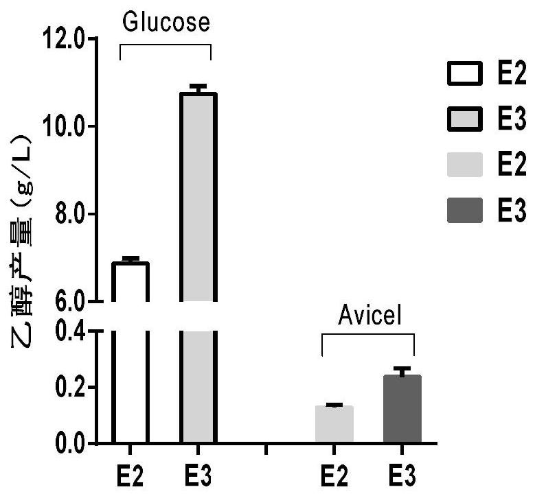 Recombinant filamentous fungus for producing ethanol as well as construction and application of recombinant filamentous fungus