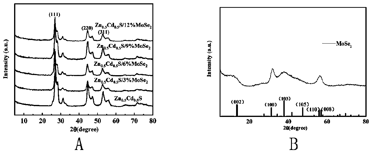 Preparation method and application of MoSe2/ZnCdS nanoparticles