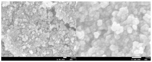 Preparation method and application of MoSe2/ZnCdS nanoparticles