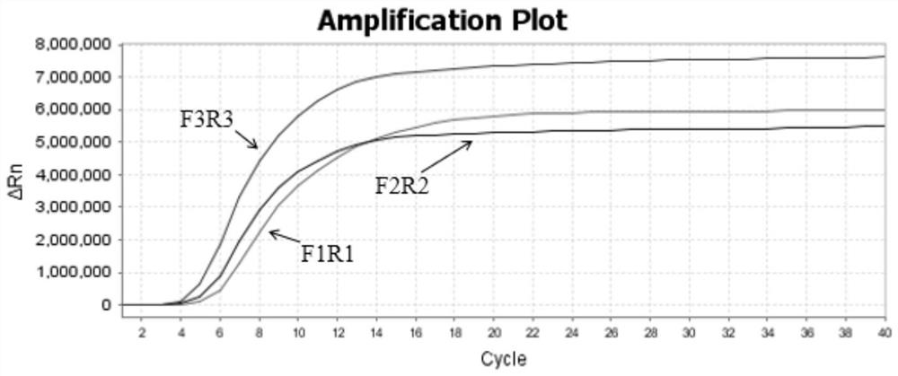 Kit for detecting respiratory syncytial virus and application thereof