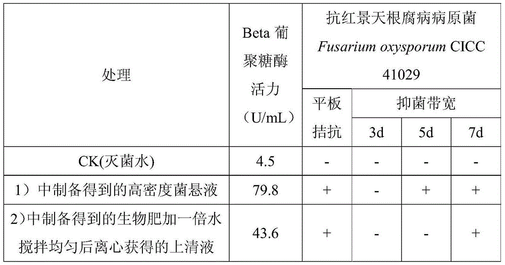 Method for root rot resistance and growth promotion of rhodiola rosea through biological prevention and control