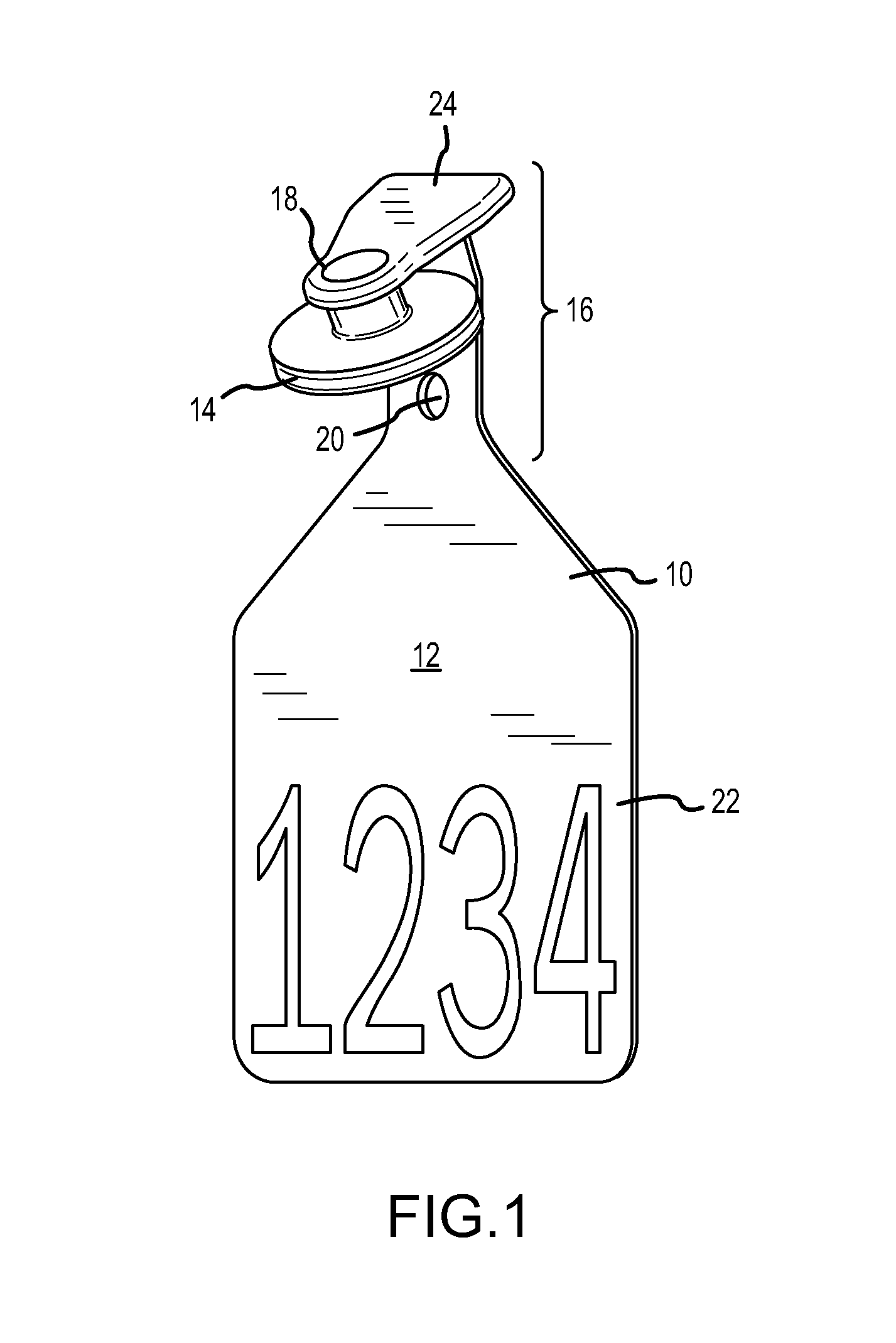 Modular visual and electronic identification tag