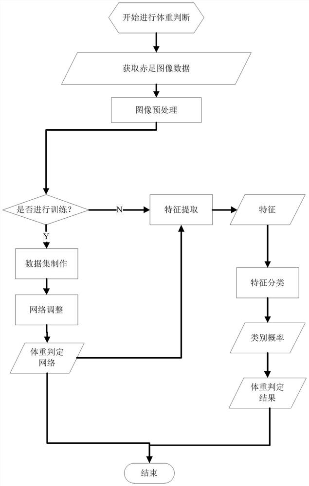 A CNN-based Barefoot Footprint Weight Determination Method