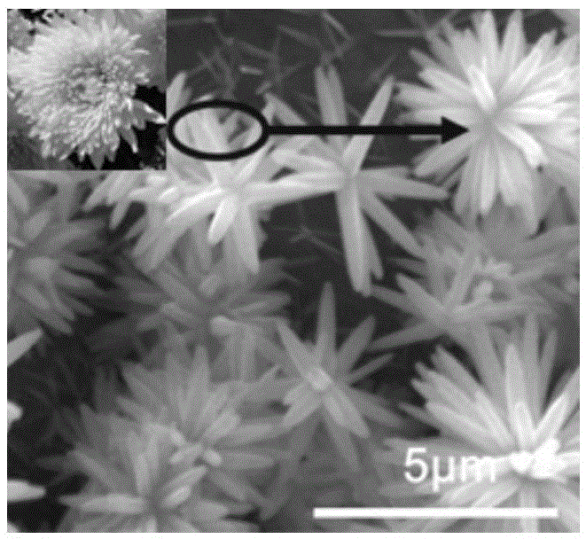 Long-acting drag reduction coating and preparation method and application of long-acting drag reduction coating