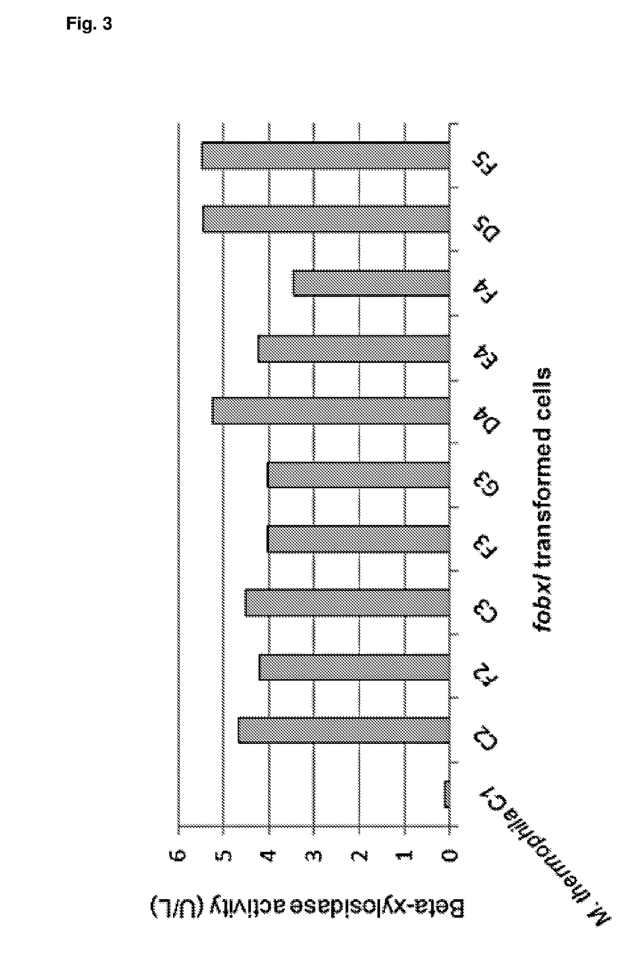 Expression of recombinant beta-xylosidase enzymes