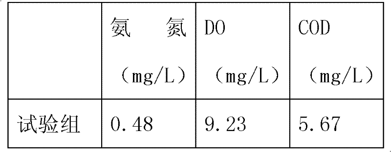 Controlled release microecological preparation for water quality improvement and preparation method thereof