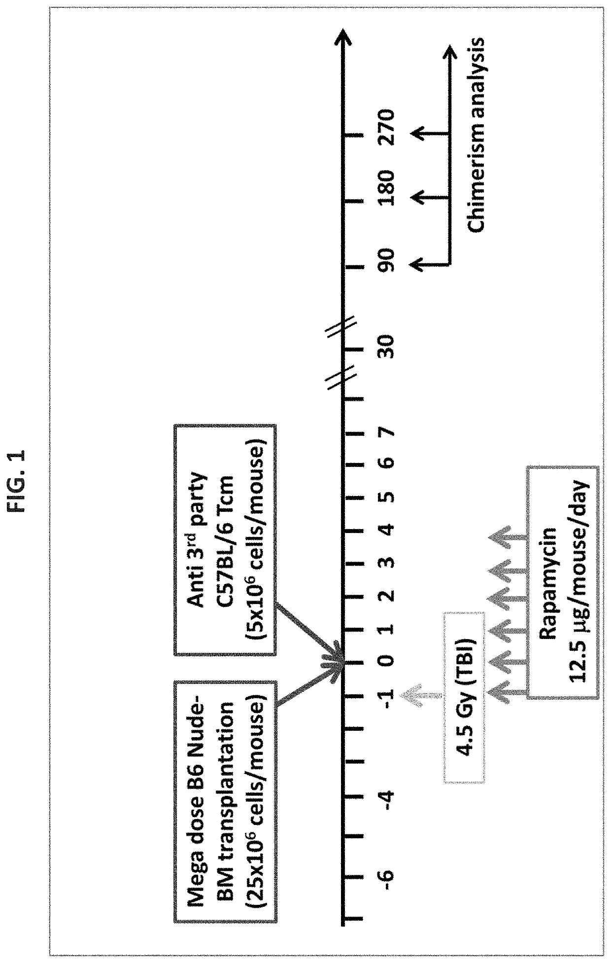 Use of veto cells in treatment of t cell mediated autoimmune diseases