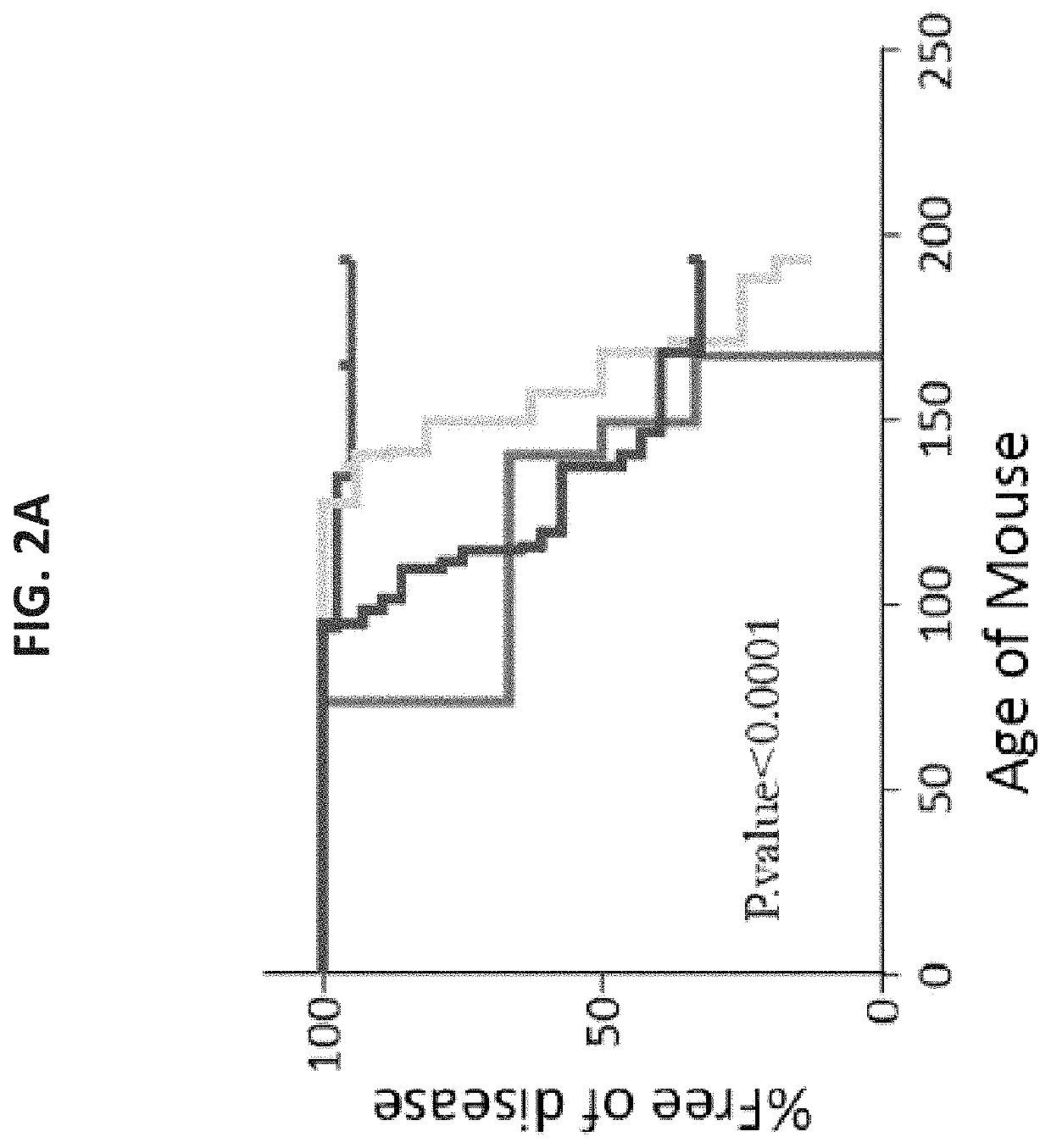 Use of veto cells in treatment of t cell mediated autoimmune diseases