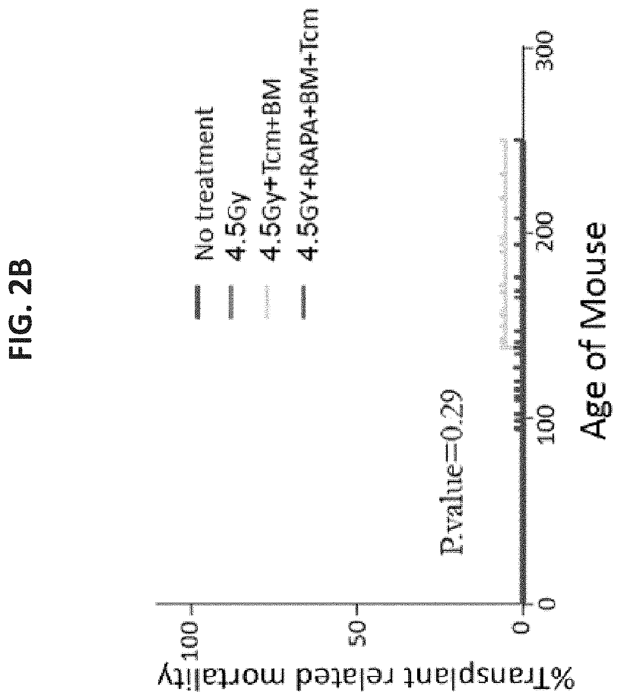 Use of veto cells in treatment of t cell mediated autoimmune diseases