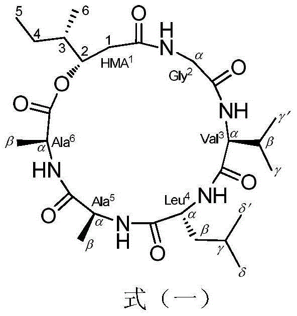 Depsipeptide compound, and preparation method and application thereof