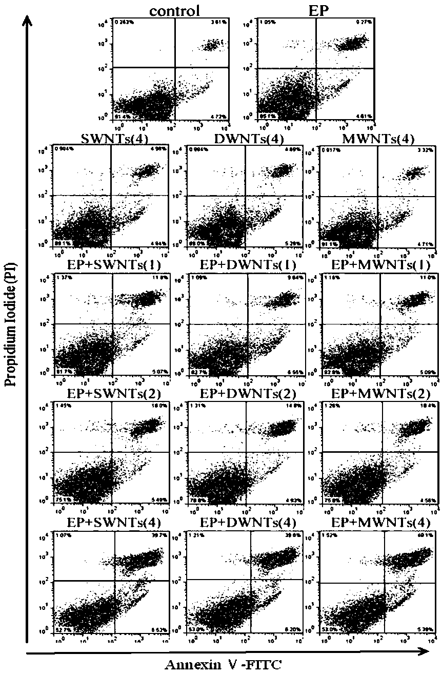 Method for applying pulse electric field combined carbon nanotube to facilitation of cancer cell apoptosis