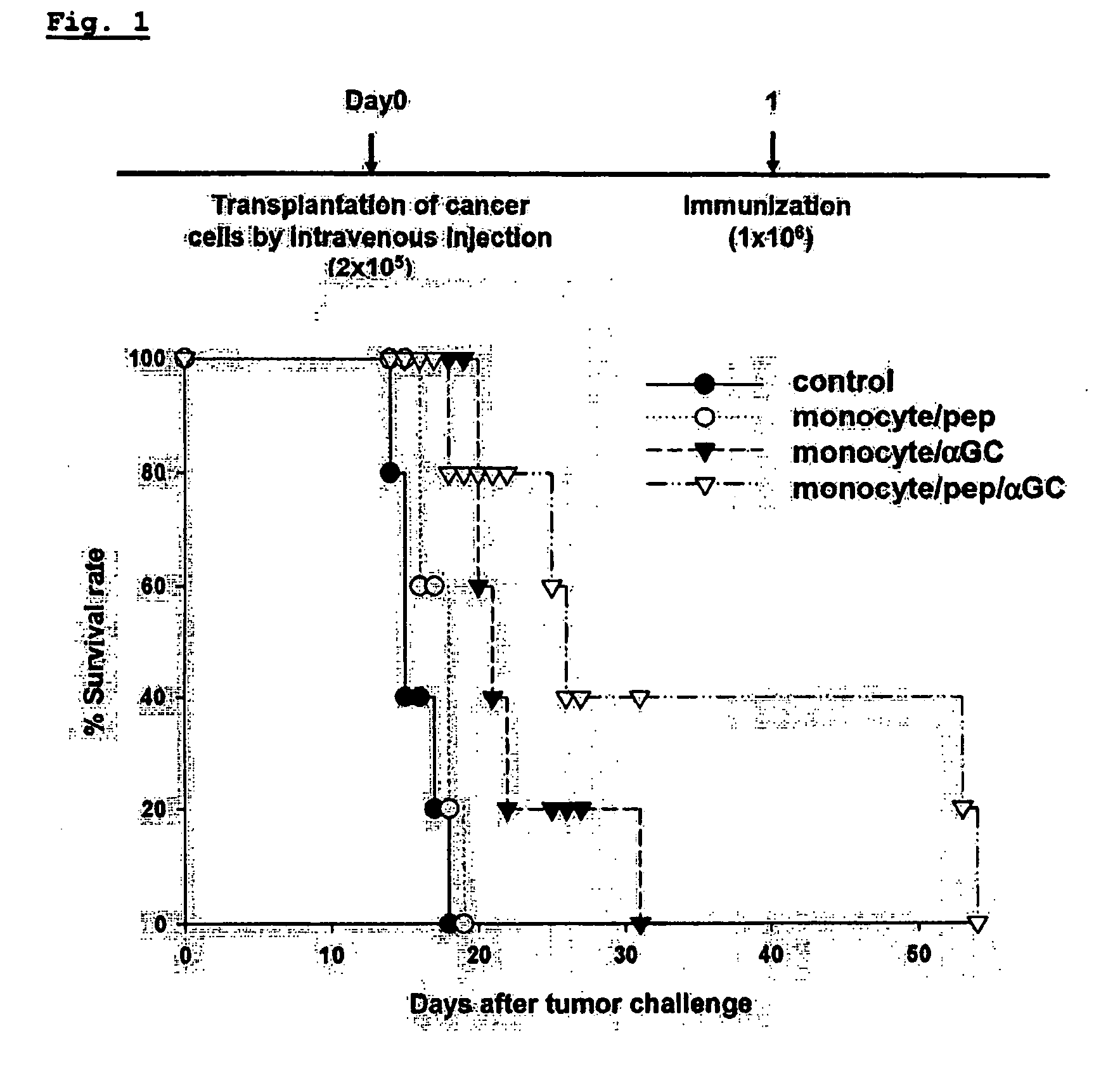 Vaccine comprising monocyte or immature myeloid cells (IMC) which were loaded with the ligand of natural killer t cell and antigen