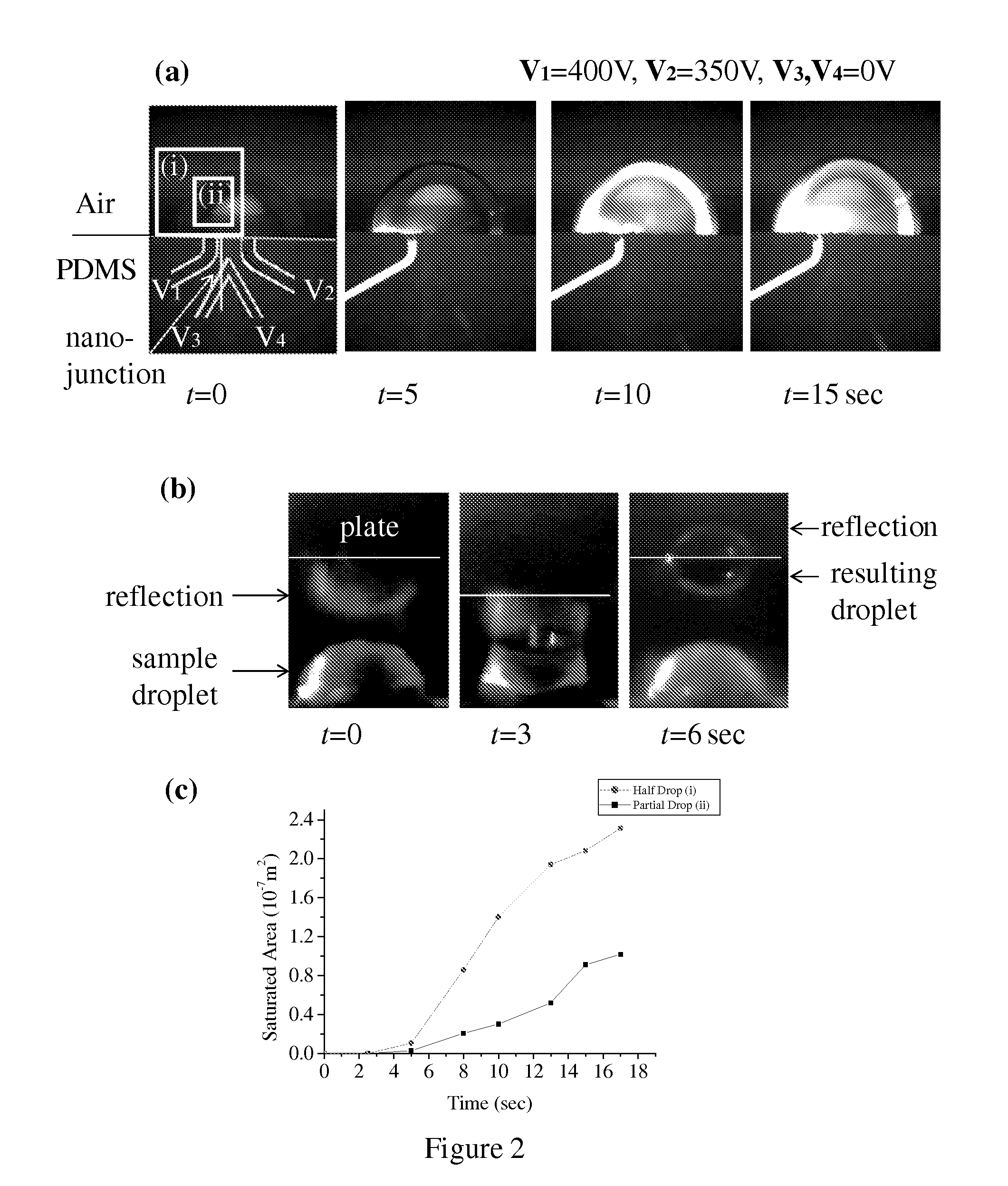 Nanofluidic preconcentration device in an open environment