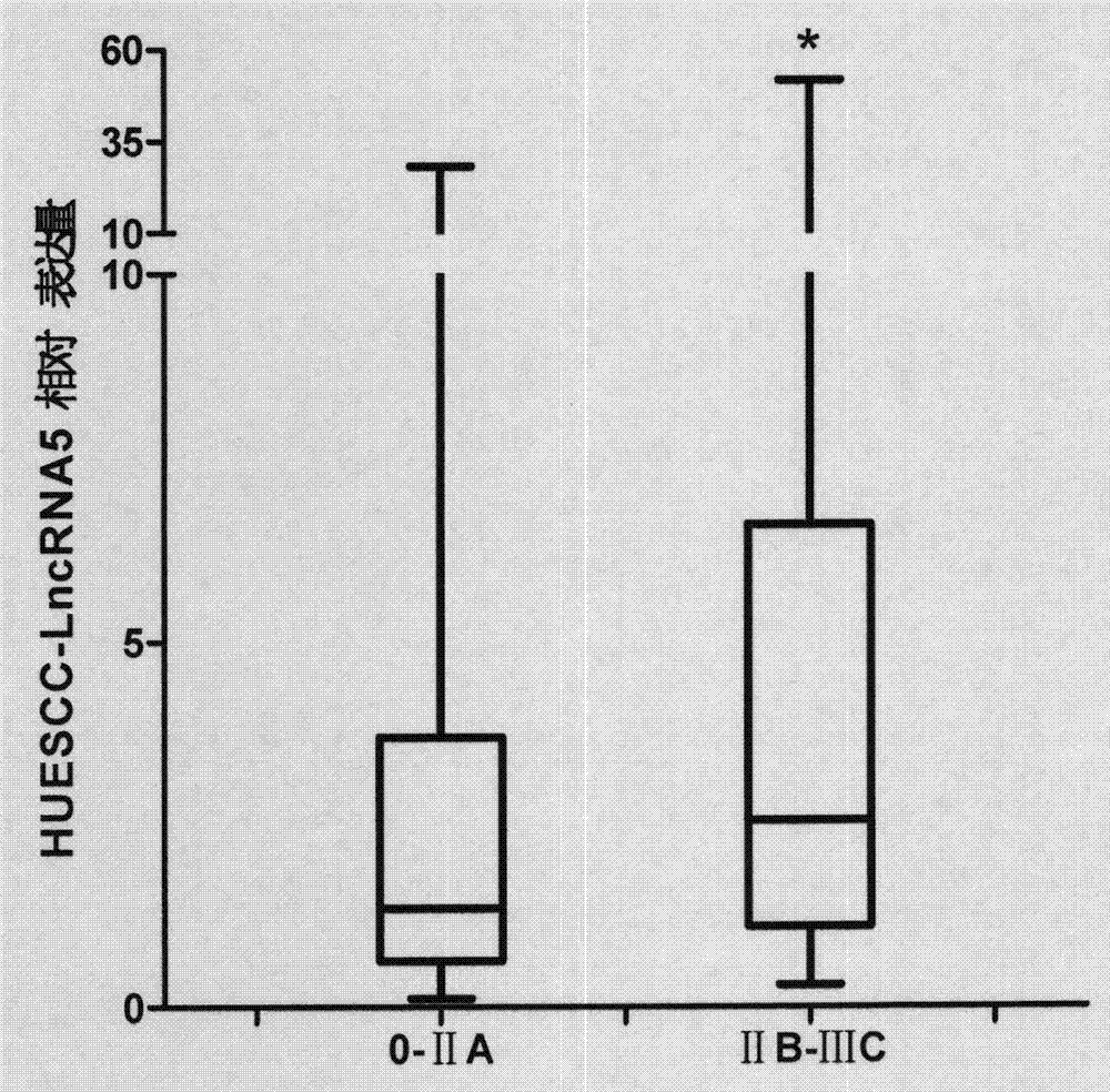 Function of HOXD-AS1 in diagnosis and treatment of esophageal squamous carcinoma