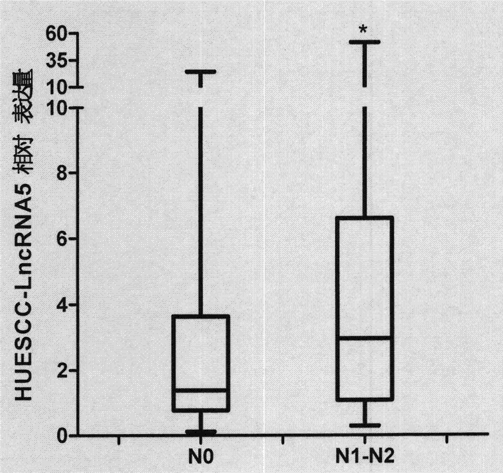 Function of HOXD-AS1 in diagnosis and treatment of esophageal squamous carcinoma