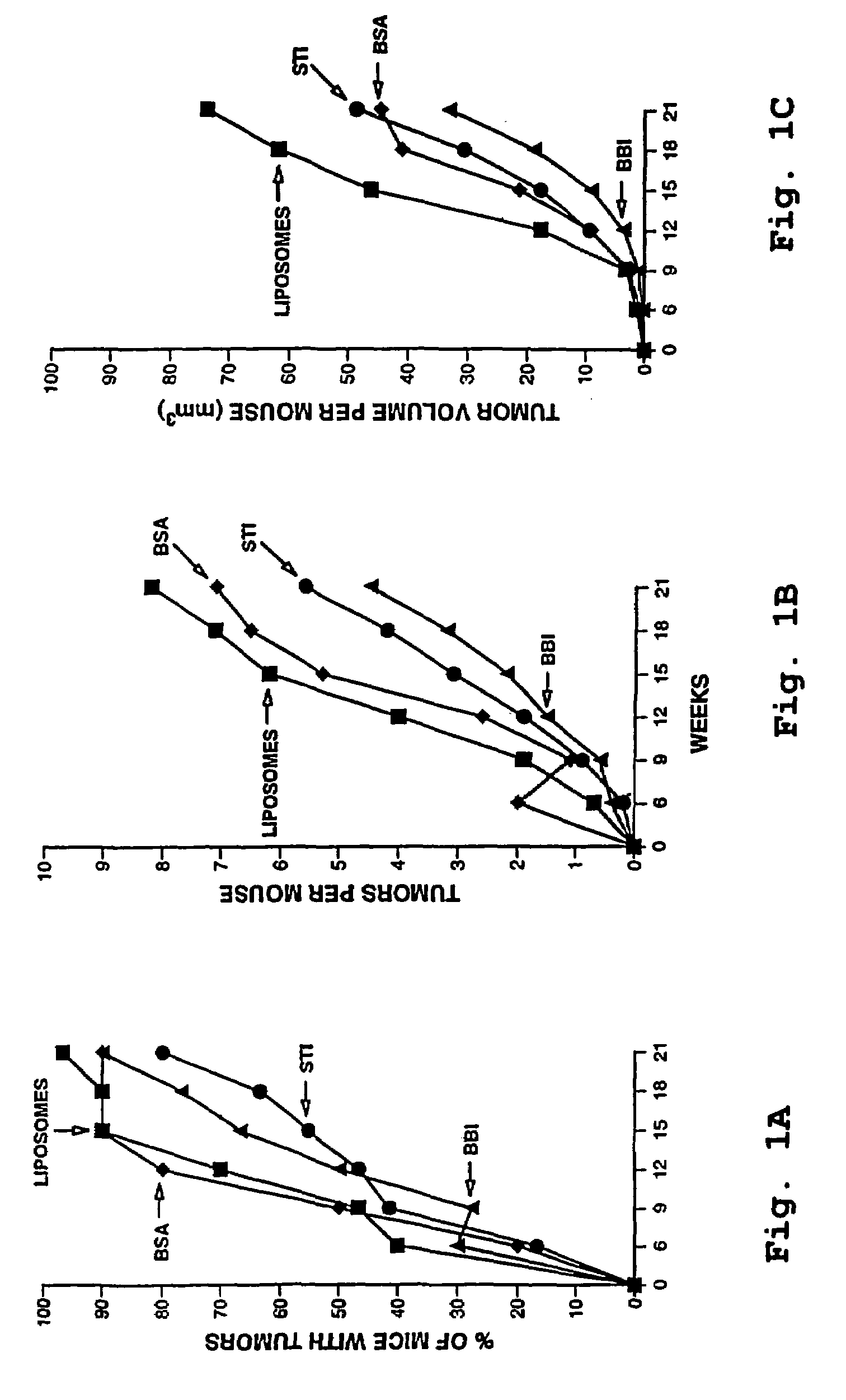 Topical anti-cancer compositions and methods of use thereof