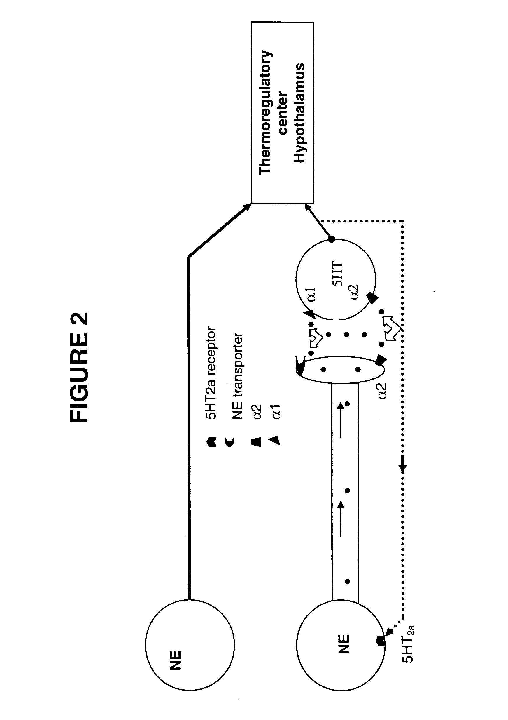 Method for treating nervous system disorders and conditions