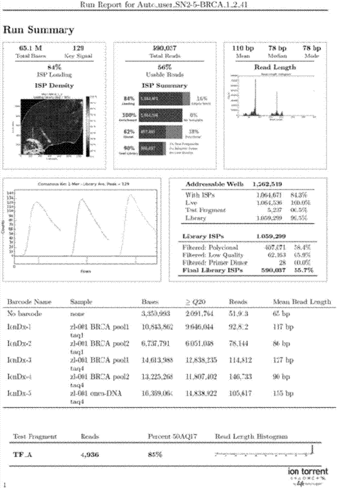 Construction method and applications of tumor BRCA1/2 gene variation library for high-throughput sequencing detection