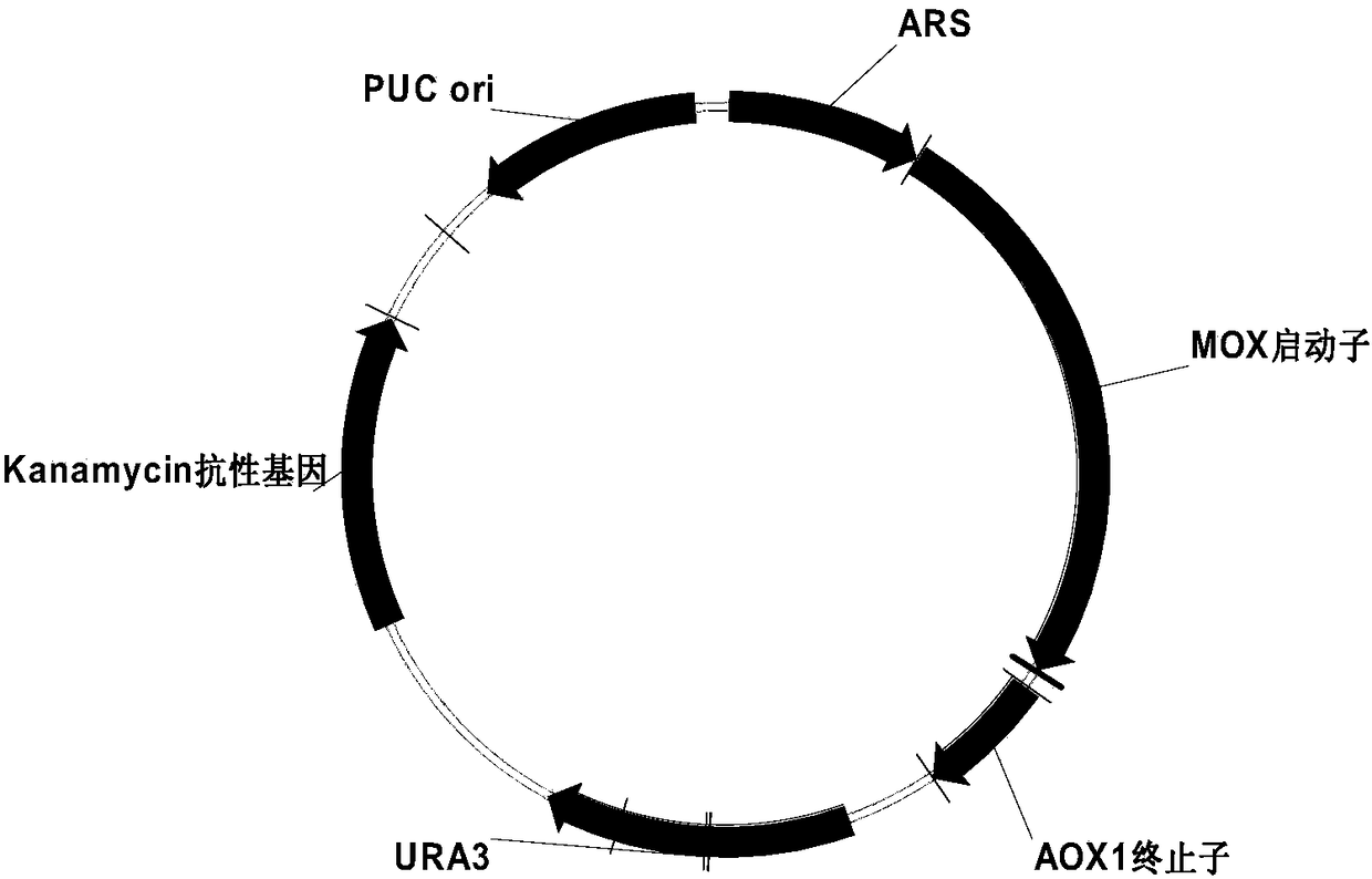 Method for producing recombinant hepatitis B surface antigen