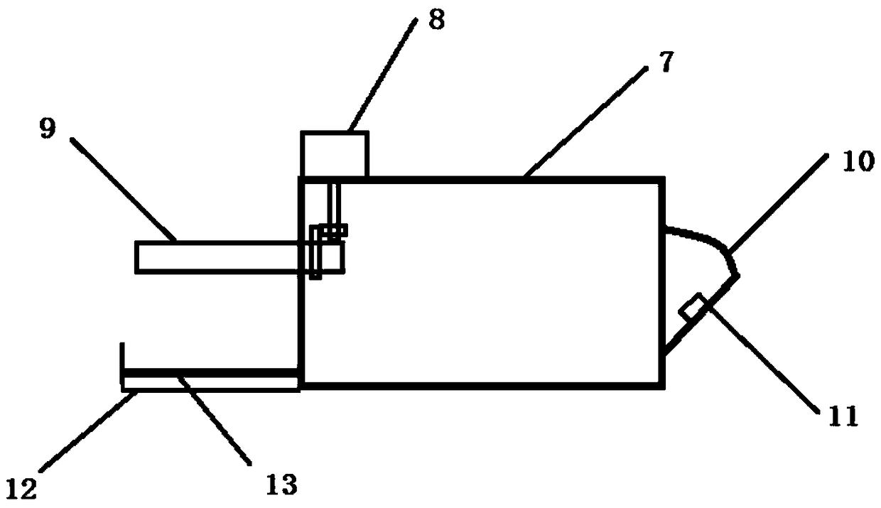 Method and system for making forest tree disease specimen