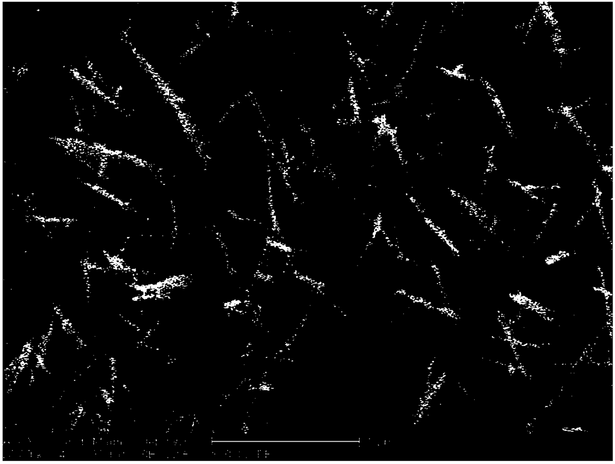 Preparation method of cobalt molydate and nickel foam composite film