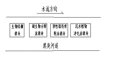 Modular system for purification of polluted river water body and application of the same