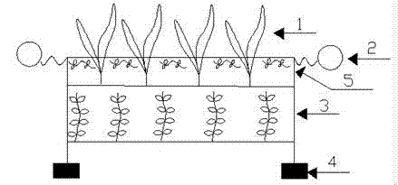 Modular system for purification of polluted river water body and application of the same