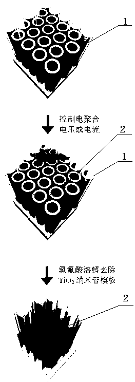 Poly (3,4-ethylenedioxythiophene) nano-tube array, as well as preparation method and application thereof