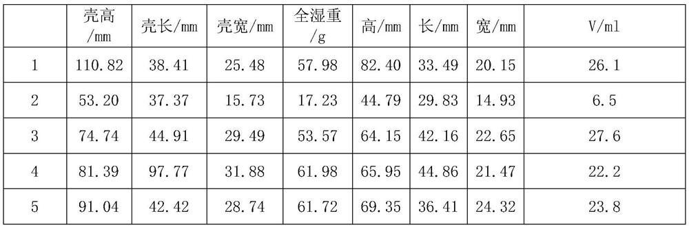 A method for obtaining shellfish shell cavity and measuring its volume